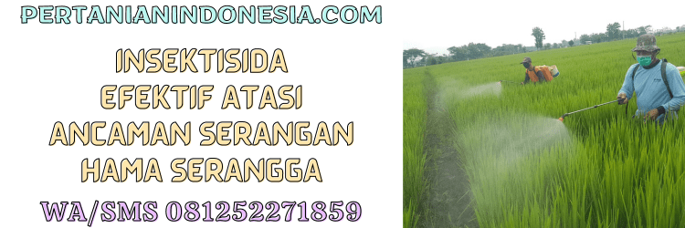 insektisida,pestisida,serangga,hama,hama serangga